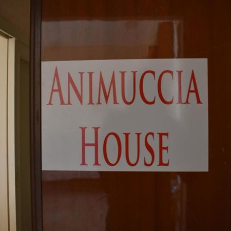Casa Vacanze "Animuccia House" Roma Exteriér fotografie